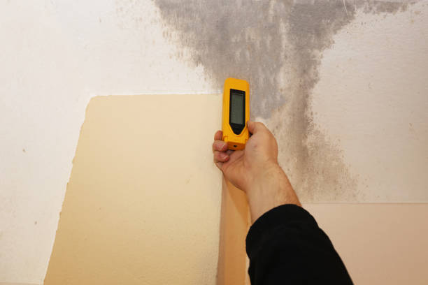 Mold Odor Removal Services in Concord, NC