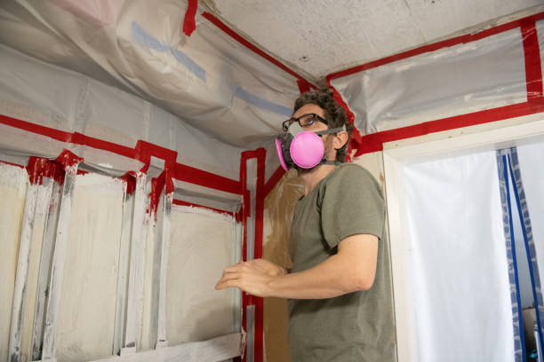 Best Black Mold Removal  in Coord, NC