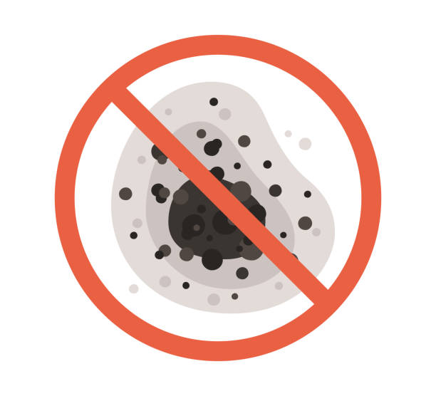Best Mold Odor Removal Services  in Coord, NC